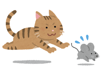 ネズミを追いかける猫