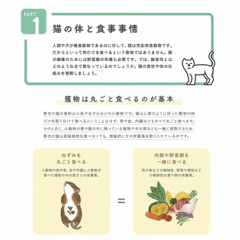 猫の体と食事事情