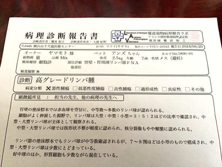 リンパ腫病理診断報告書