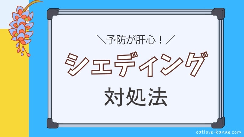 予防が肝心！シェディング対処法