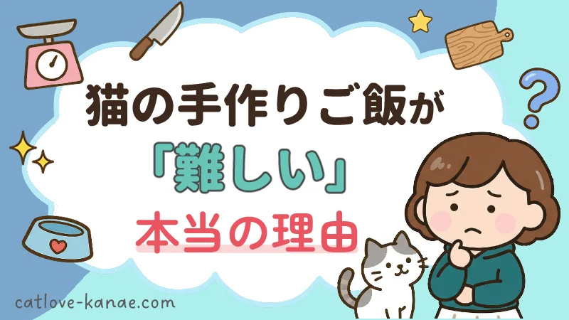 猫の手作りご飯が難しい本当の理由