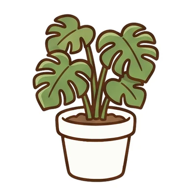観葉植物