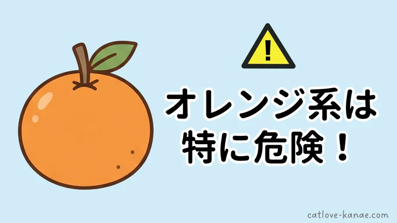 オレンジ系の柑橘は猫に特に危険と警告するイラスト