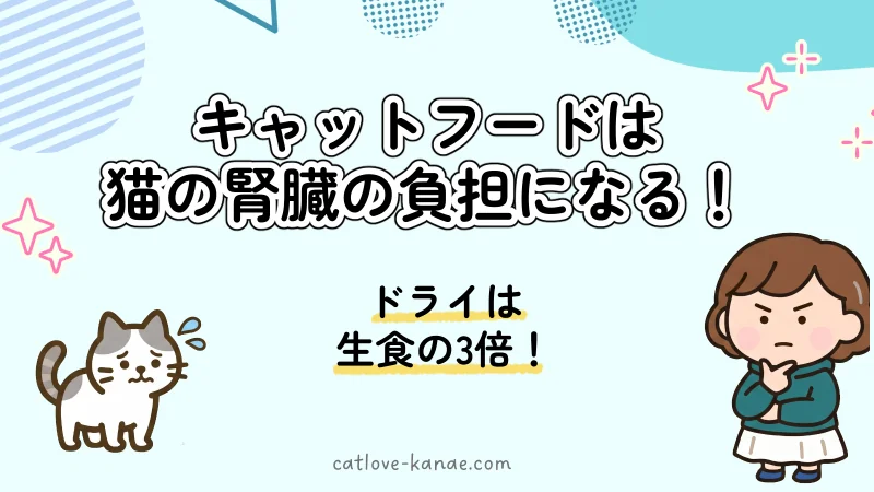 キャットフードは猫の腎臓の負担になる。ドライは生食の3倍。不安そうな猫と、真剣な顔のかなえ